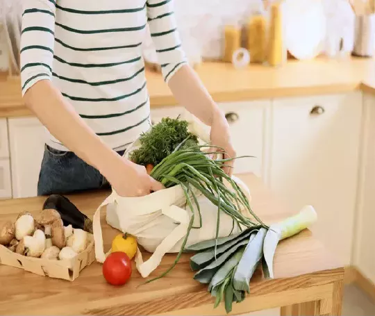 Curso nutrición vegetariana y vegana